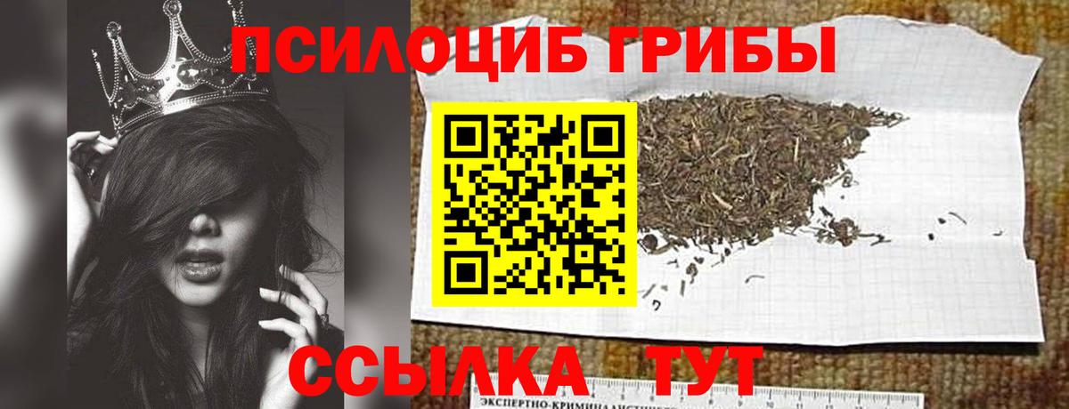 Бугульма  Псилоцибиновые грибы Psilocybine cubensis  Вход с VPN 