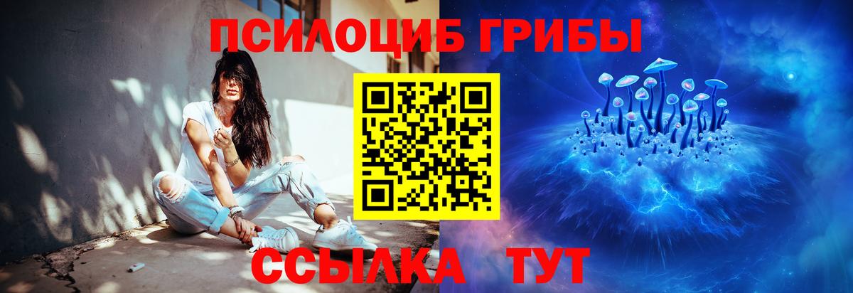 Галлюциногенные грибы Psilocybine cubensis Бугульма